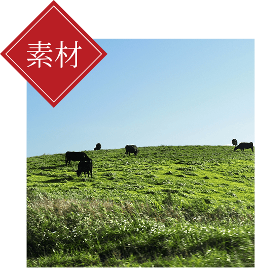 素材